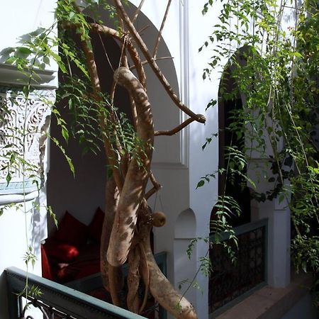 Dar Malak Hotel Marrakesh Exterior photo